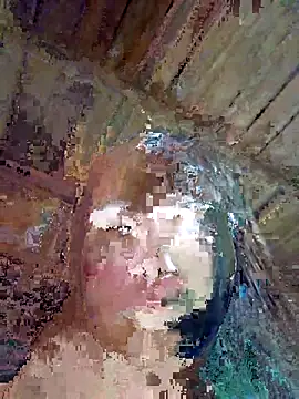 Snapshot of Squirrel-Pear chatting on 8, 11, 2025 Squirrel-Pear online show from 8, 11, 2025