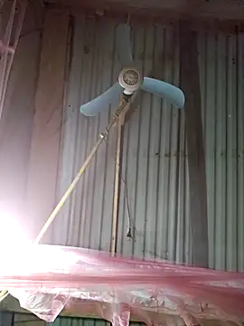 Snapshot of Squirrel-Pear chatting on 4, 12, 2025 Squirrel-Pear online show from 4, 12, 2025