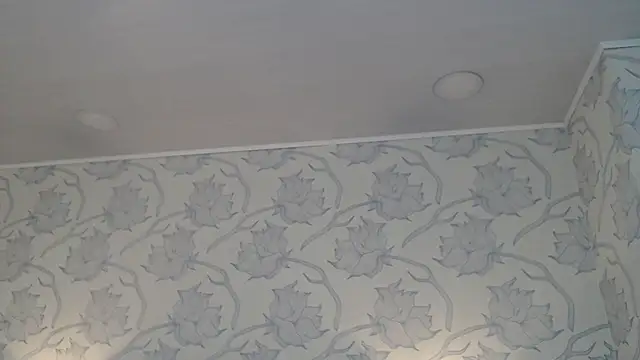 Snapshot of Rachellparker_ chatting on 5, 12, 2025 Rachellparker online show from 5, 12, 2025