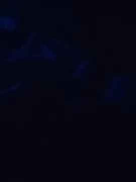 Cedric7653 online show from 28, 2, 2026