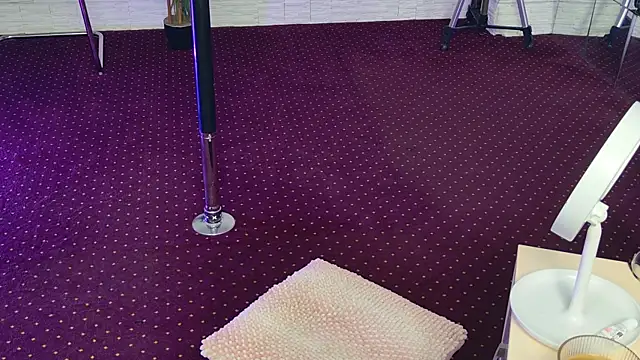 Snapshot of IvorySwan chatting on 3, 11, 2025 IvorySwan online show from 3, 11, 2025