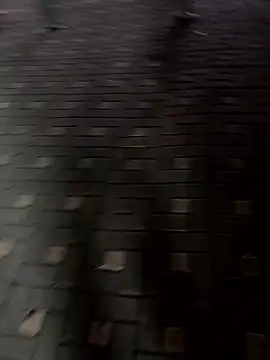 pkl030 online show from 24, 10, 2025