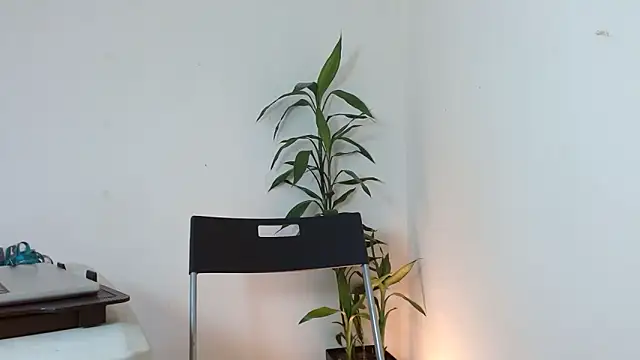 Dulce765b online show from 21, 3, 2026