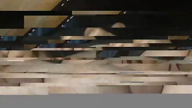 GADDAR TR06 online show from 15, 2, 2026