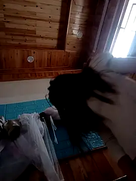 kokoto-59 online show from 7, 2, 2026