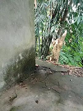 Snapshot of Bear_bear0 chatting on 8, 11, 2025 Bear bear0 online show from 8, 11, 2025