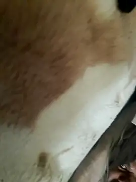 Perfect size online show from 20, 11, 2025