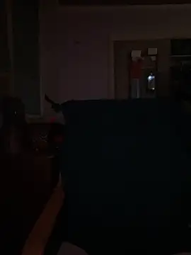 Snapshot of Macduckd chatting on 13, 2, 2026 Macduckd online show from 13, 2, 2026