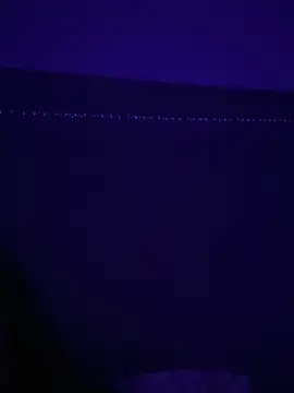 Gia Atkinson online show from 24, 10, 2025