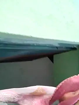 Bhumika Love online show from 11, 11, 2025