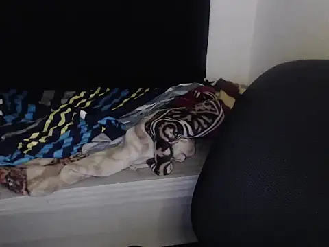 Snapshot of Negritatata chatting on 28, 11, 2025 Negritatata online show from 28, 11, 2025