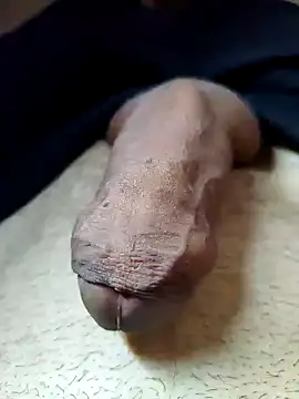 frajola-rs online show from 27, 11, 2025