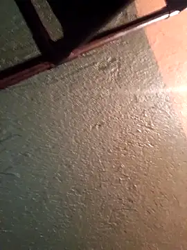 Elvergon22546 online show from 17, 11, 2025