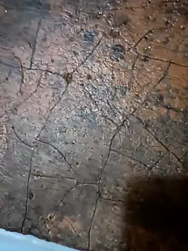 Shaik11231 online show from 21, 11, 2025