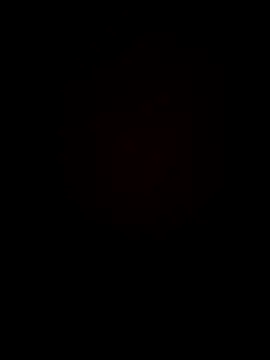 Chripish online show from 4, 11, 2025