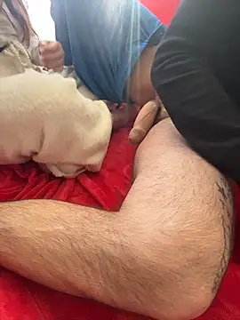 PassionCoupleLove online show from 15, 2, 2026