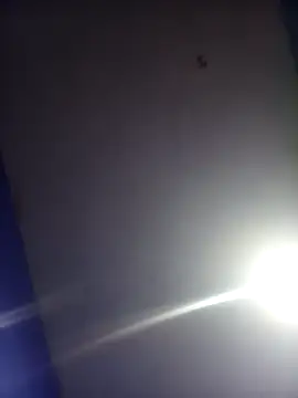 Snapshot of HSexy_Men00 chatting on 26, 11, 2025 HSexy Men00 online show from 26, 11, 2025