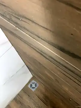 Snapshot of bfelipedasilva chatting on 25, 10, 2025 bfelipedasilva online show from 25, 10, 2025