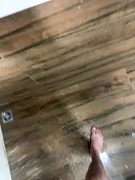 Snapshot of bfelipedasilva chatting on 4, 12, 2025 bfelipedasilva online show from 4, 12, 2025