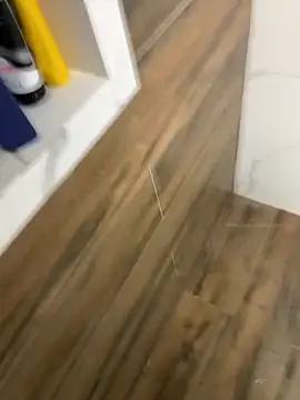 Snapshot of bfelipedasilva chatting on 21, 12, 2025 bfelipedasilva online show from 21, 12, 2025