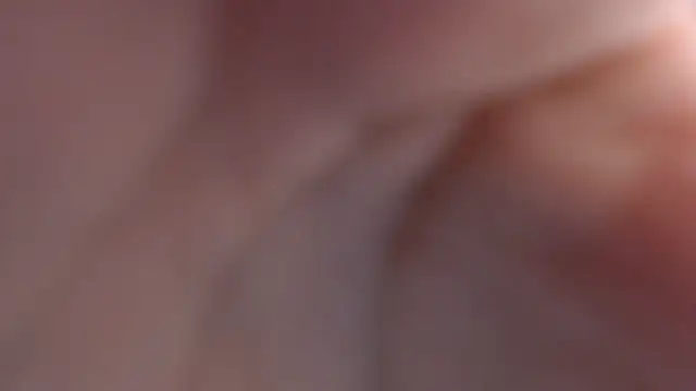 velvetvixen t online show from 16, 1, 2026