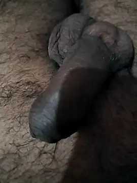 Snapshot of desicoupleNoon chatting on 2, 11, 2025 desicoupleNoon online show from 2, 11, 2025