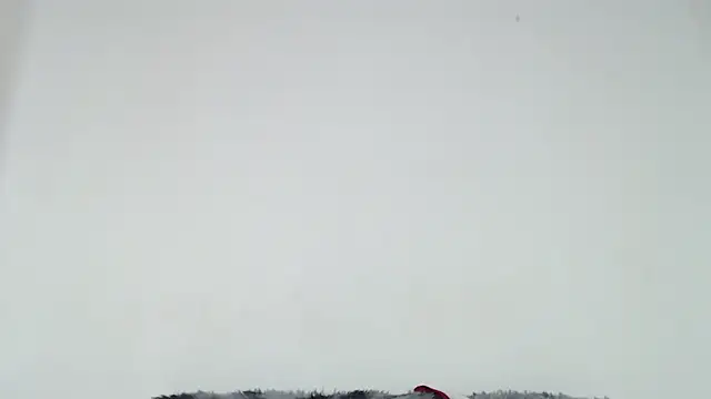 Mia fox29 online show from 31, 10, 2025