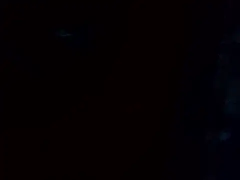 pampa4456 online show from 8, 2, 2026