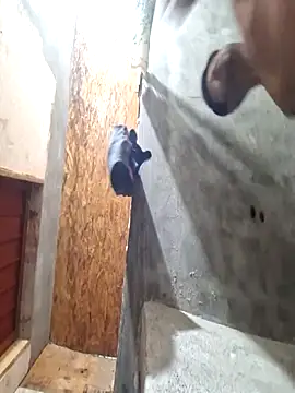 sanz957 online show from 14, 11, 2025