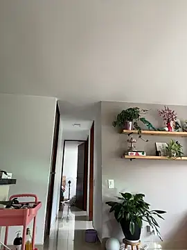 Snapshot of SugarTroubl33 chatting on 12, 11, 2025 SugarTroubl33 online show from 12, 11, 2025