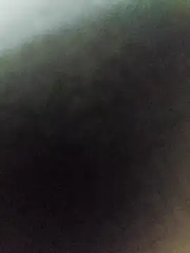 sweetsswet online show from 8, 3, 2026