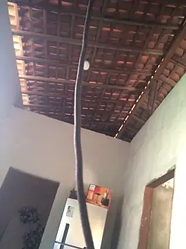 Ralf2011 online show from 4, 12, 2025