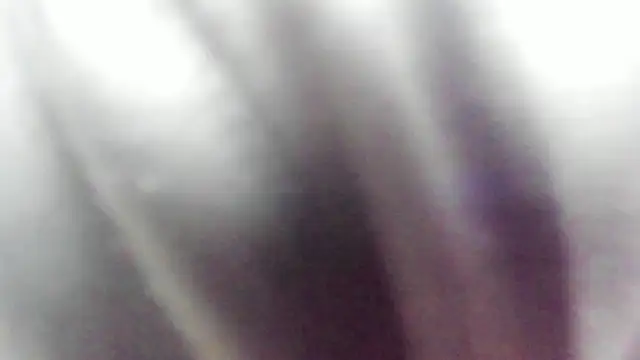 wild best online show from 16, 2, 2026