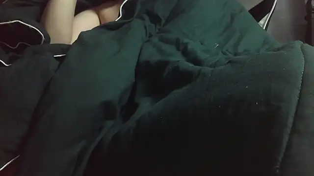 Stripholyday online show from 14, 11, 2025