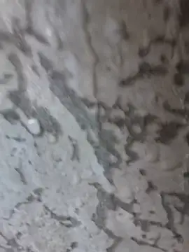 3zekie1 online show from 28, 10, 2025