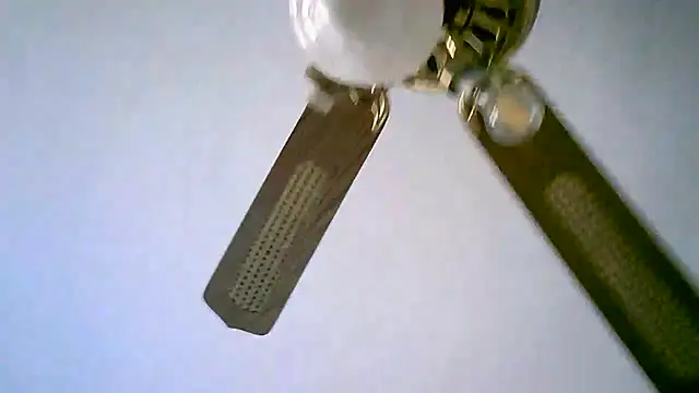 Snapshot of Sylviastar46 chatting on 11, 11, 2025 Sylviastar46 online show from 11, 11, 2025