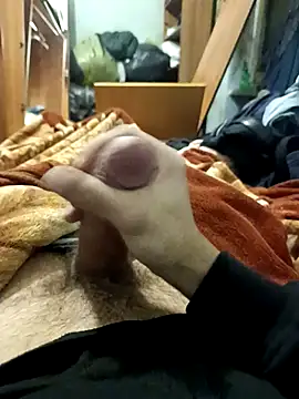 KaTorino online show from 3, 2, 2026