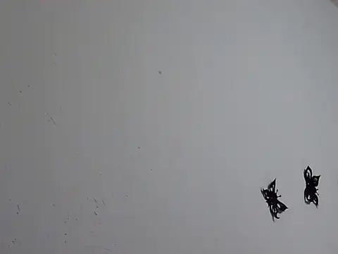 Morticia Black online show from 18, 1, 2026