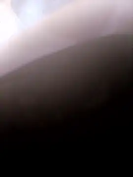 pino870 online show from 14, 1, 2026