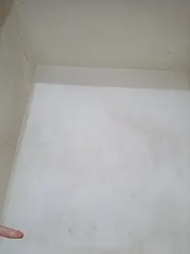 negramenta online show from 1, 12, 2025