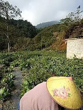 min nyny online show from 2, 12, 2025