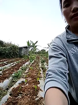 min nyny online show from 4, 12, 2025