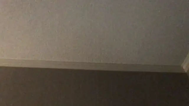 Snapshot of RyanSteeleXXX chatting on 2, 12, 2025 RyanSteeleXXX online show from 2, 12, 2025