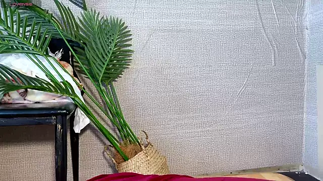 0xiaosu0 online show from 20, 12, 2025