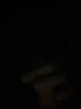 Manfredini607452 online show from 26, 11, 2025