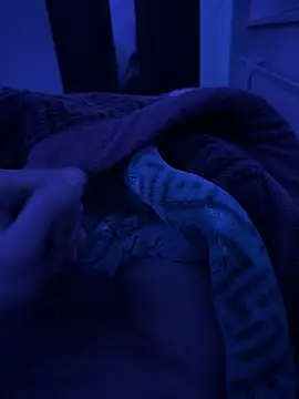 jafop098864 online show from 2, 3, 2026