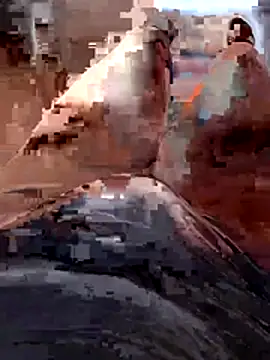 Vanja33 online show from 3, 11, 2025