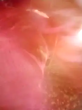 Jooli cuty online show from 14, 3, 2026