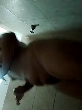 rebelde502 online show from 12, 11, 2025