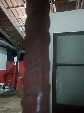 rebelde502 online show from 13, 11, 2025